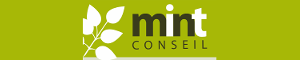Logo Mint en barre horizontale