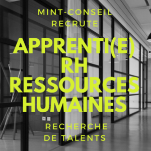 Gestion des Ressources Humaines