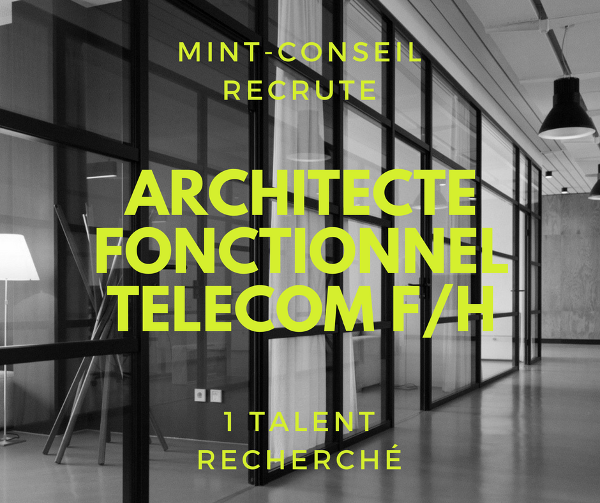 Consultant fonctionnel