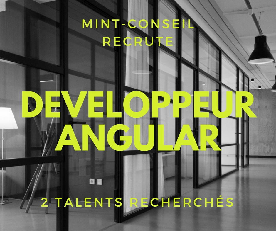 Consultant dev recherché