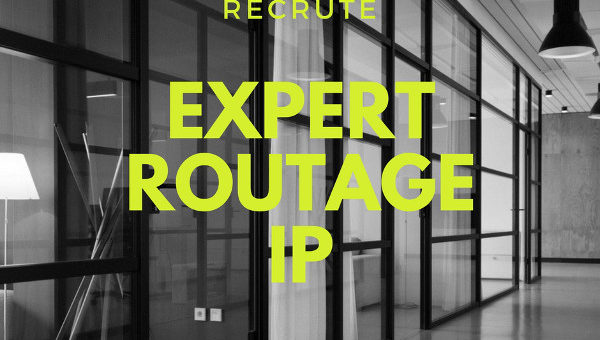 Expert Routage IP