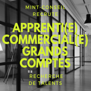 recherche d'un commercial grand comptes