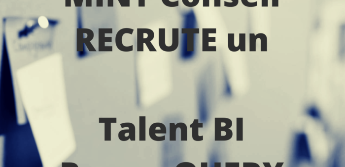 Consultant BI Power Query et Power Pivot pour le secteur télécom