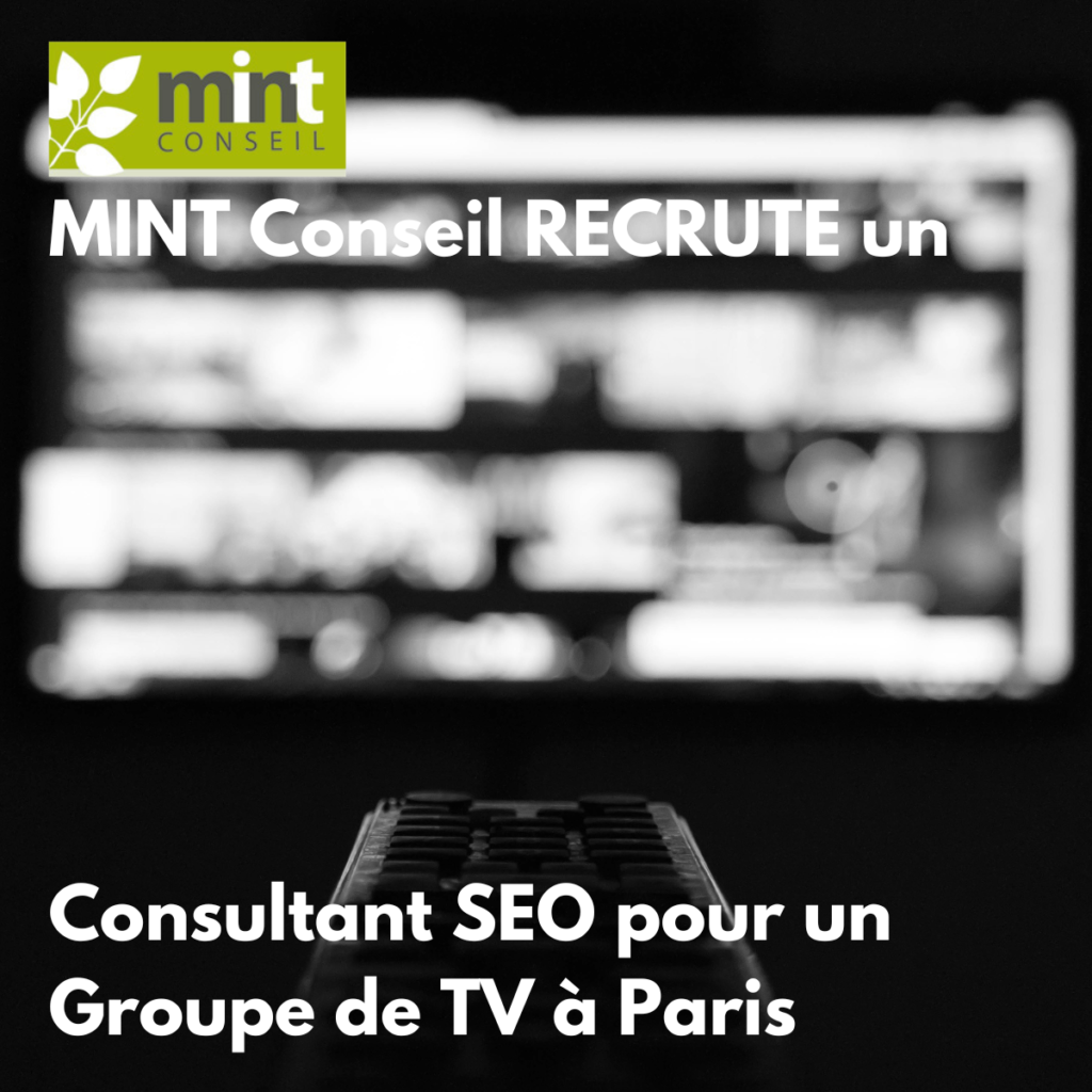 Consultant SEO pour un Groupe de Télévision